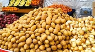 تراجع سعر البطاطس إلى 12 جنيها ضمن قائمة خضراوات الأسواق في بورسعيد اليوم